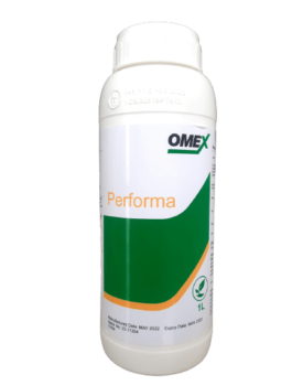 WhatsApp_Image_2023-06-26_at_2.03.02_PM_1_-removebg-preview