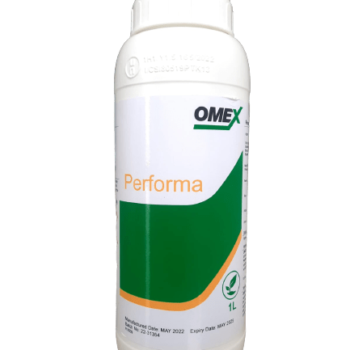 WhatsApp_Image_2023-06-26_at_2.03.02_PM_1_-removebg-preview