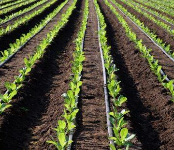 Irrigation_pages_Drip_Irrigation_Hero