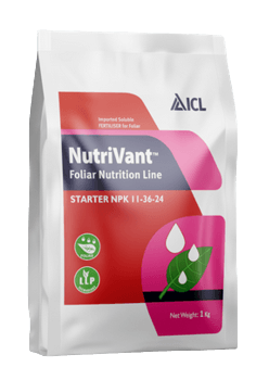 Screenshot_2023-08-09_at_09-52-08_Nutrivant_Starter_11-36-24_ICL_India-removebg-preview