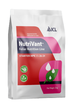 Screenshot_2023-08-09_at_09-52-08_Nutrivant_Starter_11-36-24_ICL_India-removebg-preview